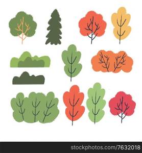 Autumn different colored trees and shrubs. Vector set of clipart.. Autumn different trees. Vector set of clipart.