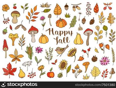 Autumn doodle vector design elements. Hand drawn florals, leaves, mushrooms and pumpkins on a white background