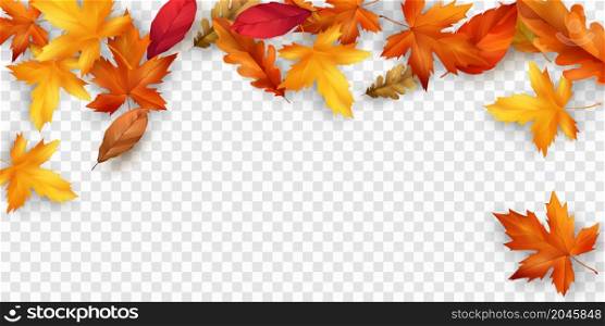 Autumn falling leaves background nature frame
