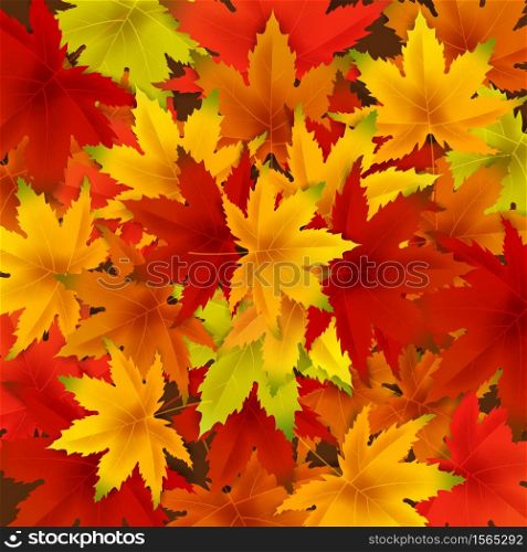 Autumn falling leaves background template with red, orange, brown and yellow maple leaves. Autumn falling leaves background template with red, orange, brown and yellow maple leaves. Vector illustration poster, frame, web banner