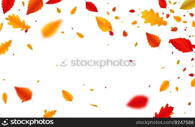 Autumn falling leaves banner design