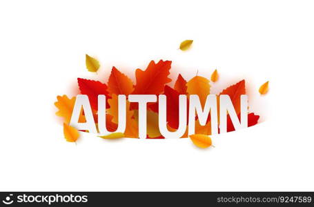 Autumn falling leaves banner design