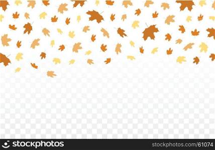Autumn falling leaves pattern on transparent background. Vector autumnal foliage fall of maple,for autumn design