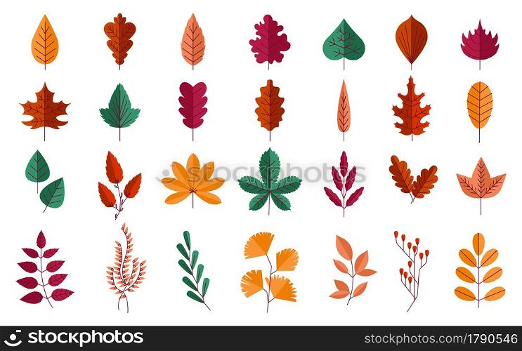 Autumn foliage. Forest red and yellow leaves of maple or oak. Orange chestnut trees. Isolated fall season botanical graphic elements. Decorative cartoon plant parts collection. Vector nature set. Autumn foliage. Forest red and yellow leaves of maple or oak. Orange chestnut trees. Fall season botanical graphic elements. Decorative cartoon plants collection. Vector nature set