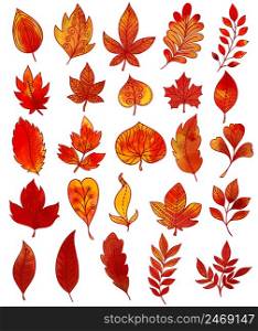 Autumn foliage hand drawn collection with red yellow leaves and twigs of different shape isolated vector illustration. Autumn Foliage Hand Drawn Collection