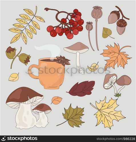 AUTUMN FOREST Fall Season Nature Vector Illustration Set