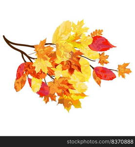 Autumn  Frame With Blowing Leaves  Over White Background. Elegant Design. Vector Illustration.