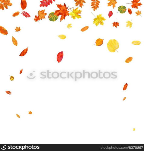 Autumn  Frame With Blowing Leaves  Over White Background. Elegant Design. Vector Illustration.