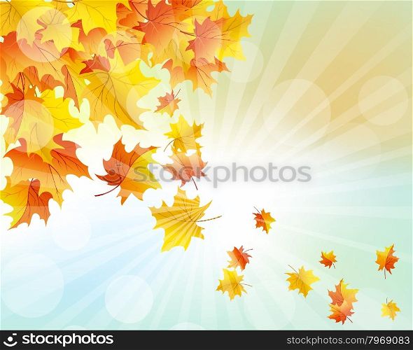 Autumn Frame With Falling Maple Leaves on Sky Background