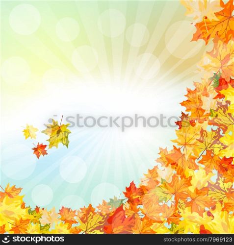Autumn Frame With Falling Maple Leaves on Sky Background
