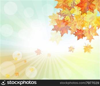 Autumn frame with falling maple leaves on sky background. Elegant design with rays of sun and ideal balanced colors. Vector illustration.
