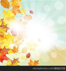 Autumn Frame With Falling Maple Leaves on Sky Background. Elegant Design with Rays of Sun and Ideal Balanced Colors. Vector Illustration.