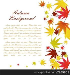 Autumn Frame With Falling Maple Leaves on White Background. Elegant Design with Text Space and Ideal Balanced Colors. Vector Illustration.