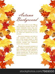 Autumn Frame With Maple and Oak Leaves and Berries Over White Background. Elegant Design with Text Space and Ideal Balanced Colors. Vector Illustration.
