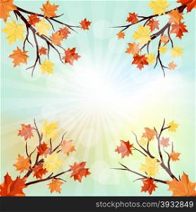 Autumn Frame With Maple Leaves on Branches of Tree Over Sky Background. Elegant Design with Text Space and Ideal Balanced Colors. Vector Illustration.