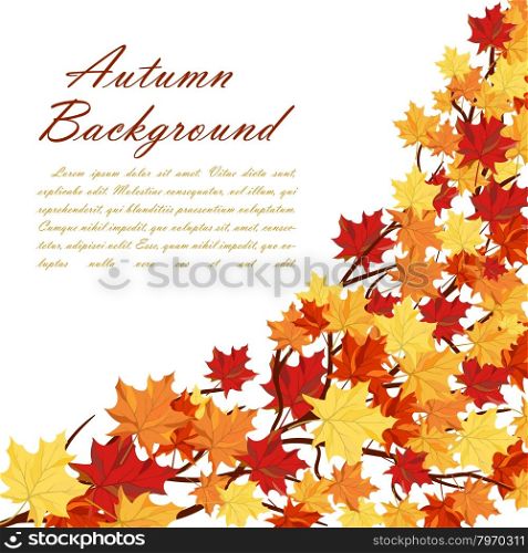 Autumn Frame With Maple Leaves on Branches of Tree Over White Background. Elegant Design with Text Space and Ideal Balanced Colors. Vector Illustration.
