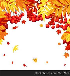 Autumn Frame With Maple, Rowan and Dog Rose Leaves and Berries Over White Background. Elegant Design with Text Space and Ideal Balanced Colors. Vector Illustration.
