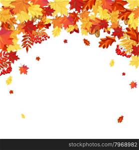 Autumn Frame With Maple, Rowan, Oak and Dog Rose Leaves and Berries Over White Background. Elegant Design with Text Space and Ideal Balanced Colors. Vector Illustration.