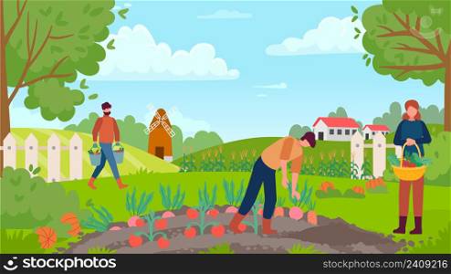 Autumn gathering. People collecting harvest, man picking carrot and beetroot, woman holding basket with vegetables. Growing organic and ecological plants. Outdoor cultivation vector. Autumn gathering. People collecting harvest, man picking carrot and beetroot, woman holding basket with vegetables