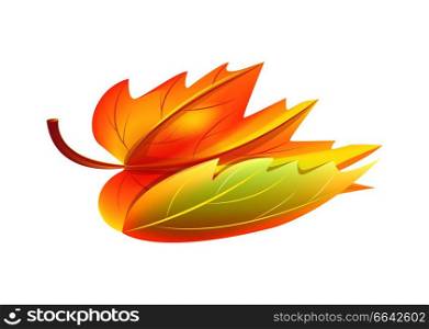 Autumn golden yellow leaf icon isolated on white. Vector illustration with fallen orange maple in realistic design, botanical foliage element. Autumn Golden Yellow Leaf Vector Illustration Icon