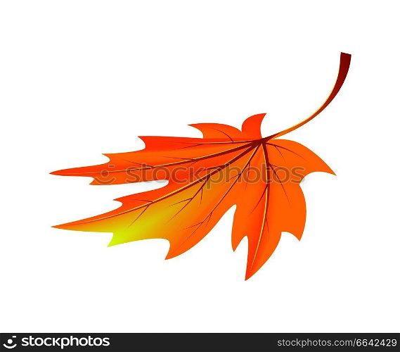 Autumn golden yellow leaf icon isolated on white background. Vector illustration with fallen orange maple folio with long darkened tail. Autumn Golden Yellow Leaf Vector Illustration