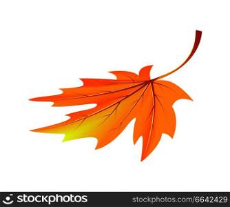 Autumn golden yellow leaf icon isolated on white background. Vector illustration with fallen orange maple folio with long darkened tail. Autumn Golden Yellow Leaf Vector Illustration