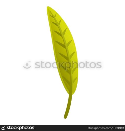 Autumn green leaf icon. Cartoon of autumn green leaf vector icon for web design isolated on white background. Autumn green leaf icon, cartoon style