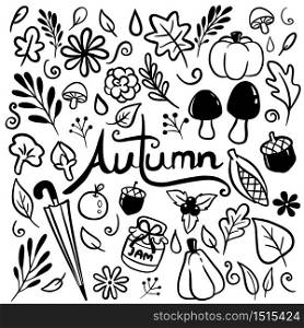 Autumn hand drawn doodle vector