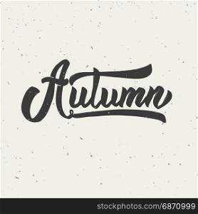 Autumn. Hand drawn lettering phrase isolated on white background. Vector illustration