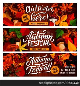 Autumn harvest festival banner with fall season floral border. Fallen leaf, orange maple and oak foliage, forest acorn and mushroom, pinecone and briar on wooden background for invitation flyer design. Autumn harvest festival invitation banner design
