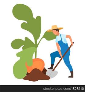 Autumn harvest flat vector illustration. Farmer harvesting big turnip with shovel cartoon character. Cultivation and growing root vegetables. Agricultural works. Farm worker digging root crops