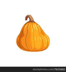 Autumn harvest isolated orange squash, Halloween symbol. Vector fresh vegetable, agriculture product. Pumpkin in realistic design isolated gourd squash