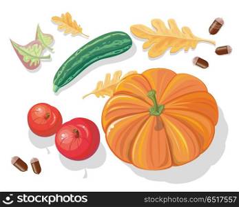 Autumn harvest vector concept. Flat design. Set of ripe vegetables and fallen leaves. Pumpkin, apple, zucchini, acorns. Healthy vegetarian organic food. Illustration for plant farm, grocery store ad. Autumn Harvest Vector Concept in Flat Design. Autumn Harvest Vector Concept in Flat Design