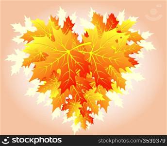 Autumn heart made from falling maple leaves