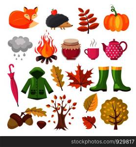 Autumn icon set. Various symbols of autumn. Vector pumpkin and boots, jam and hedgehog illustration. Autumn icon set. Various symbols of autumn
