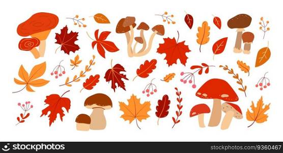 Autumn illustration set with mushrooms and leaves on white background. Happy harvest. Vector illustration. Autumn illustration set with mushrooms and leaves on white background. Happy harvest.