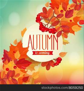 Autumn is coming - background with colorful leaves and frame with text. EPS 10 vector illustration.. Autumn is coming - background.