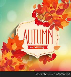 Autumn is coming - background with colorful leaves and vintage frame with text. EPS 10 vector illustration.