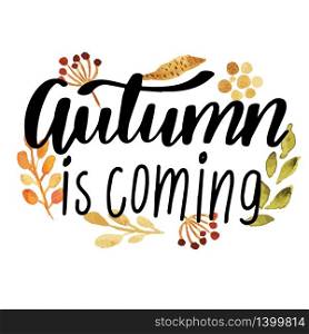 Autumn is coming hand lettering phrase on orange watercolor branches, barries, leaves and grass background. Hello Fall hand lettering phrase on orange watercolor maple leaf background