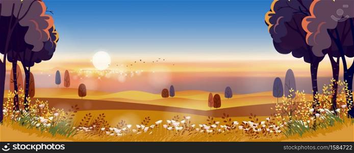 Autumn landscape in countryside with misty covered wavy mountains,foggy valleys.Misty landscape rural nature in Fall season with orange mountains with sunset,Vector Mid autumn