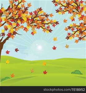 Autumn landscape with fall leaves on the branches of trees on field in sunny day, vector illustration.