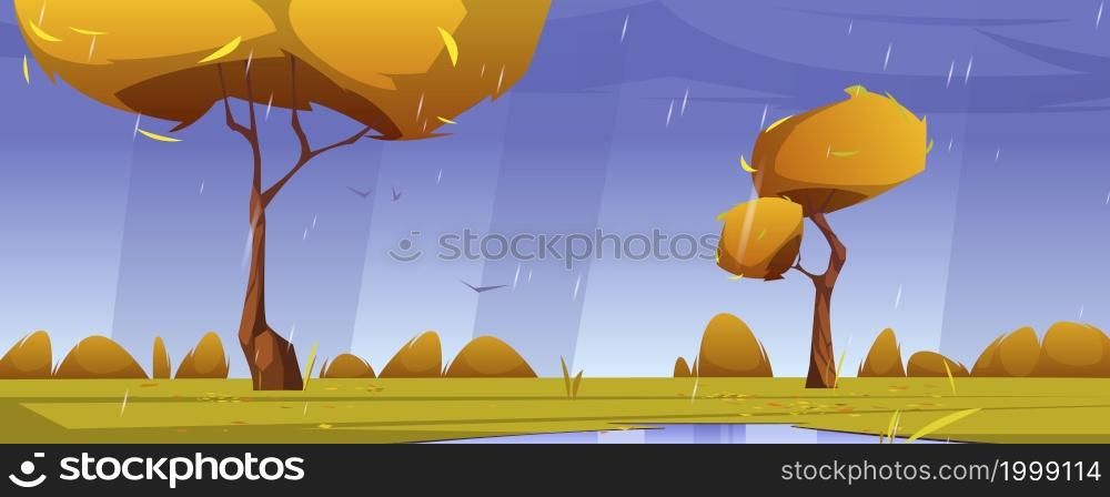 Autumn landscape with orange trees, bushes, rain and puddles. Vector cartoon illustration of nature scene with lawn, falling water drops, clouds and flying birds. Rural meadow at rainy weather. Autumn landscape with orange trees, rain, puddles