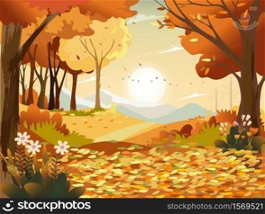 Autumn landscape wonderland forest with grass land, Mid autumn natural in orange foliage, Fall season with beautiful panoramic view with sunset behind mountain and maples leaves falling from trees
