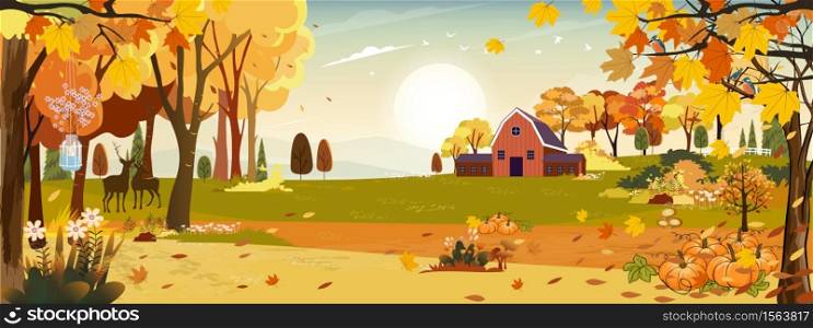 Autumn landscaps with fram fields wooden barn and grass land in hills, Natural foliage background in fall seson with beatiful panoramic view with sunset behind montains and leaves falling from tree
