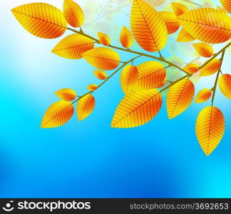 Autumn leaf background