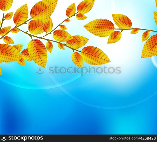 Autumn leaf background