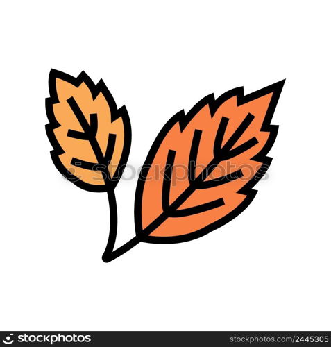 autumn leaf color icon vector. autumn leaf sign. isolated symbol illustration. autumn leaf color icon vector illustration