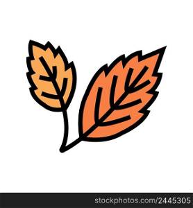 autumn leaf color icon vector. autumn leaf sign. isolated symbol illustration. autumn leaf color icon vector illustration