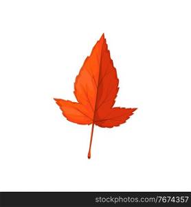 Autumn leaf icon, hawthorn tree, forest fall foliage, vector. Isolated dry red leaf of hawthorn tree, autumn nature forest and plants leaves. Autumn leaf icon, hawthorn tree, forest foliage