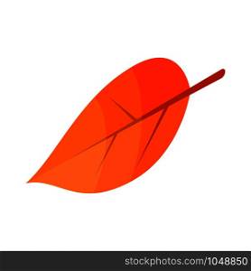 Autumn leaf icon. Isometric of autumn leaf vector icon for web design isolated on white background. Autumn leaf icon, isometric style